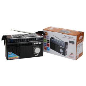 FEPE RADIO FP-711BT-S